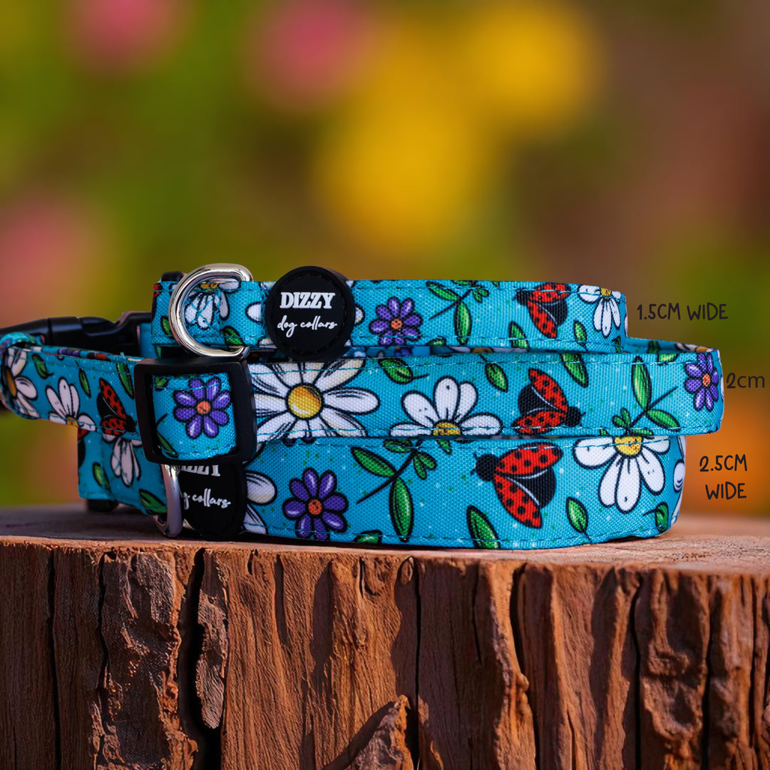 Ladybird Lane Dog Collar | Canvas & Neoprene Dog Collar