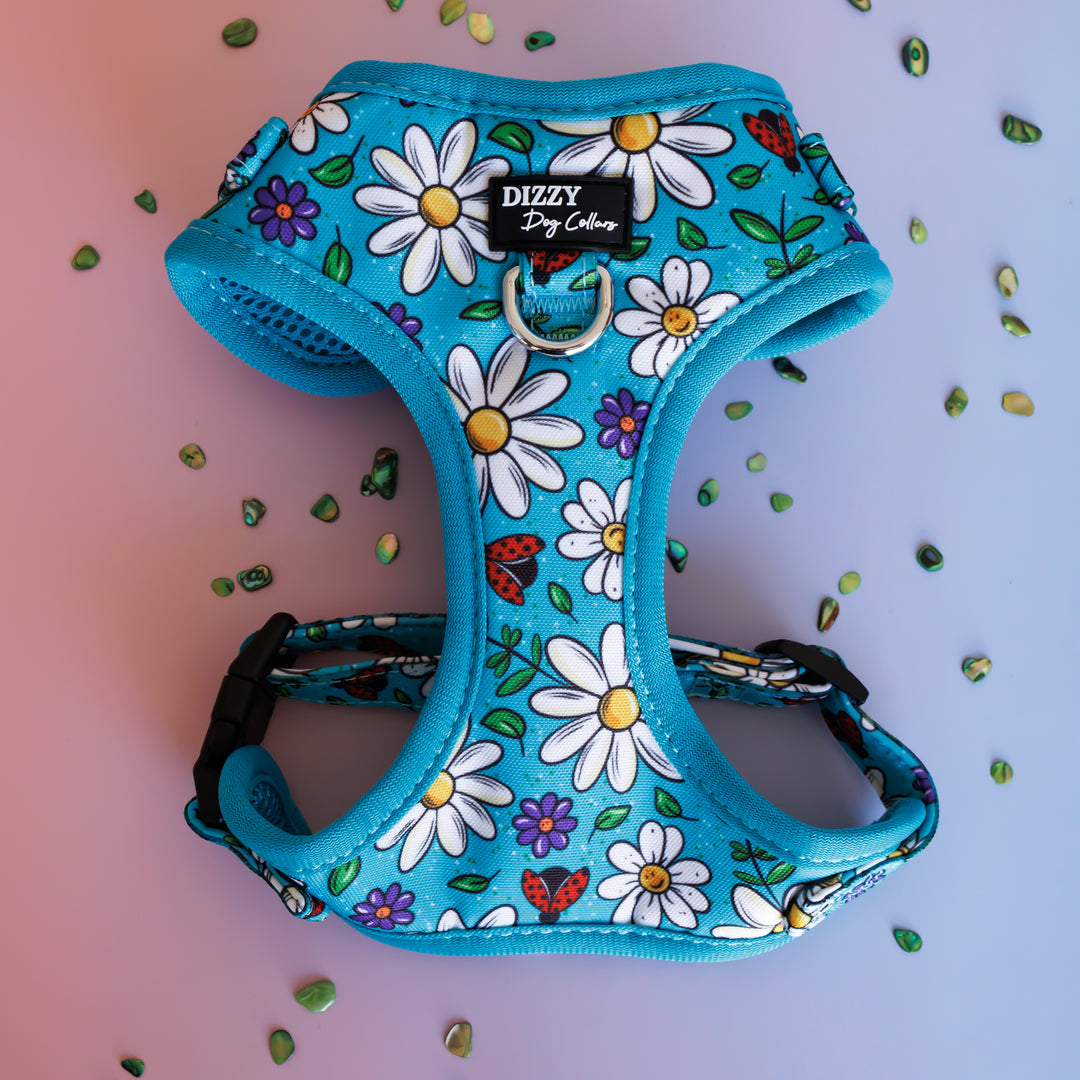 DOG HARNESS | Ladybird Lane | Neck Adjustable Dog Harness