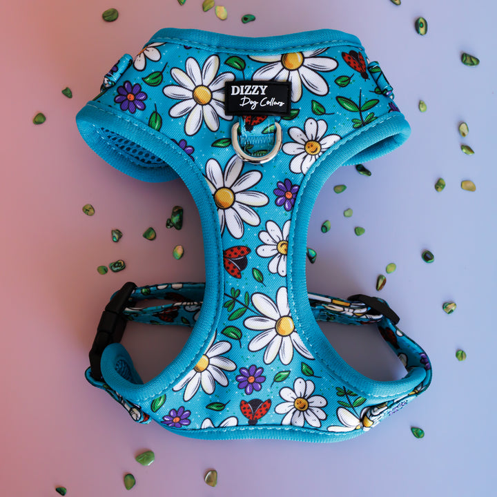 DOG HARNESS | Ladybird Lane | Neck Adjustable Dog Harness