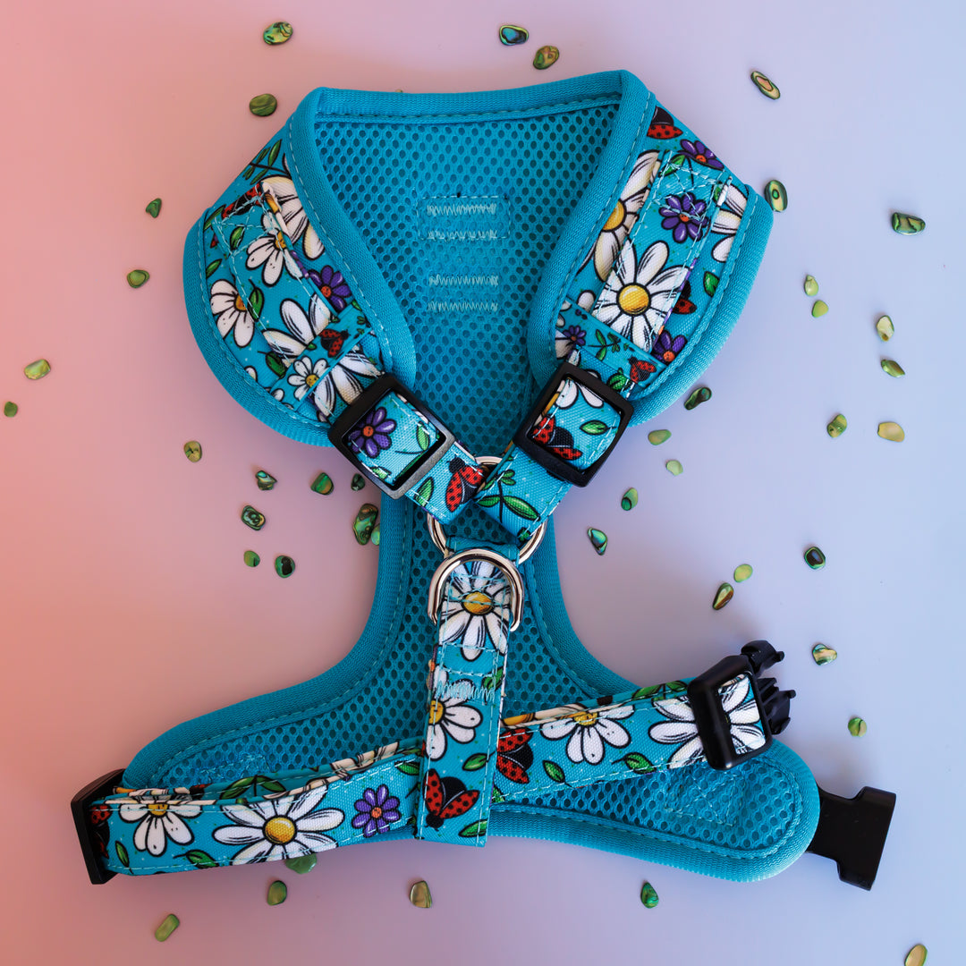 DOG HARNESS | Ladybird Lane | Neck Adjustable Dog Harness