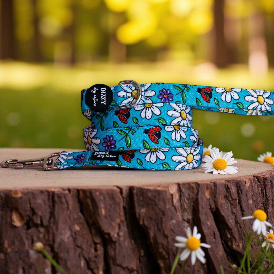 Ladybird Lane Dog Leash | Fully Padded
