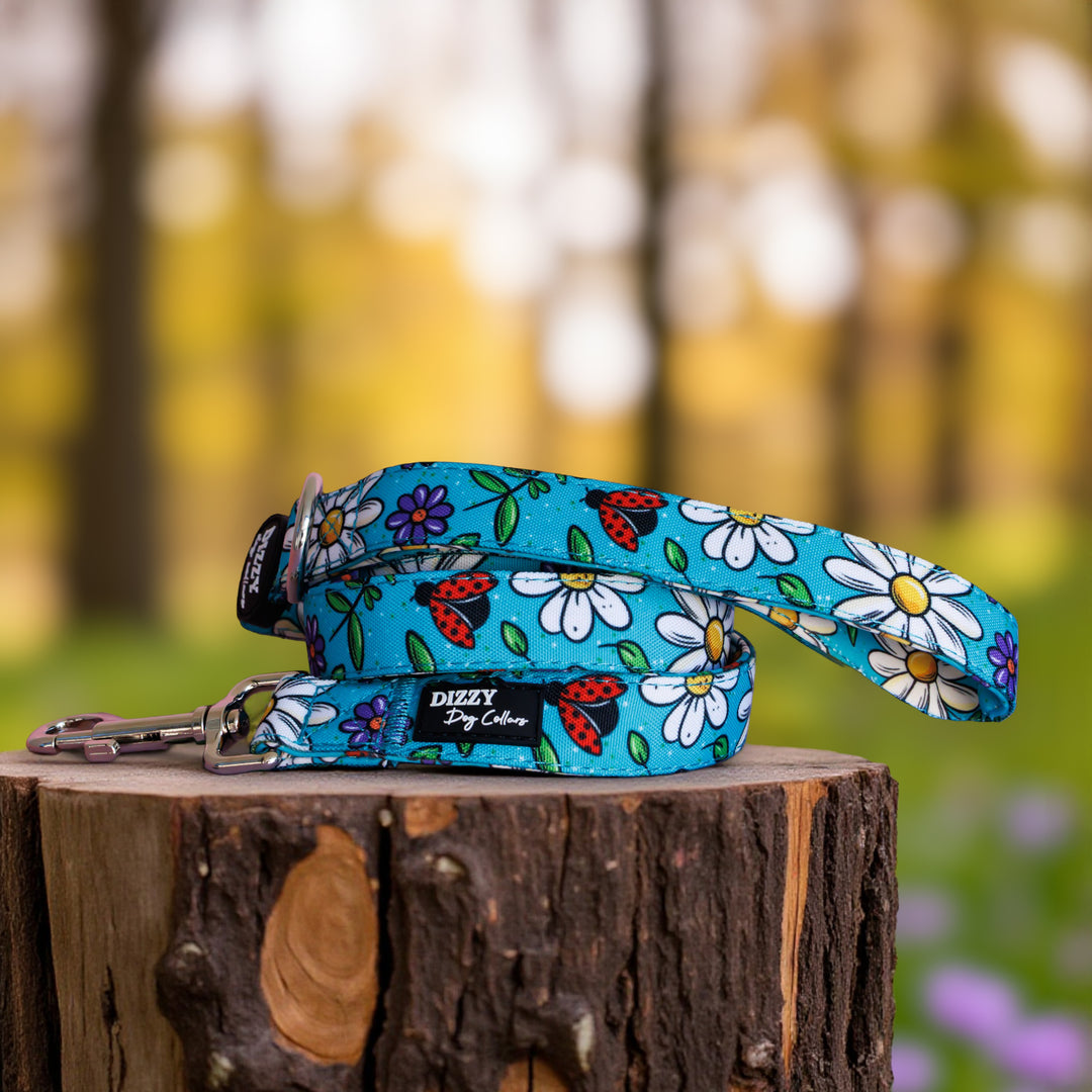 Ladybird Lane Dog Leash | Fully Padded