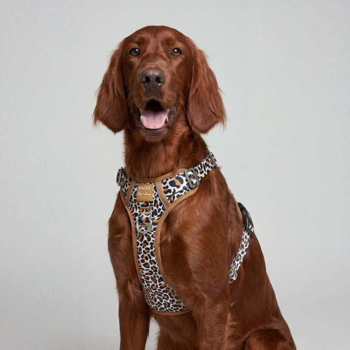 No Pull Dog Harness: Latte Leopard