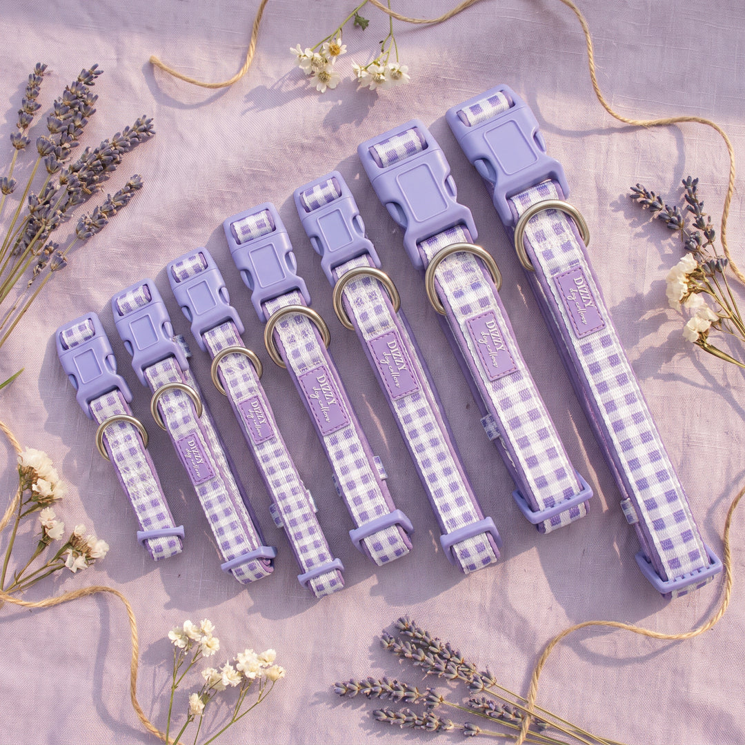 Lavender Gingham Dog Collar | Neoprene Dog Collar | Stainless Steel