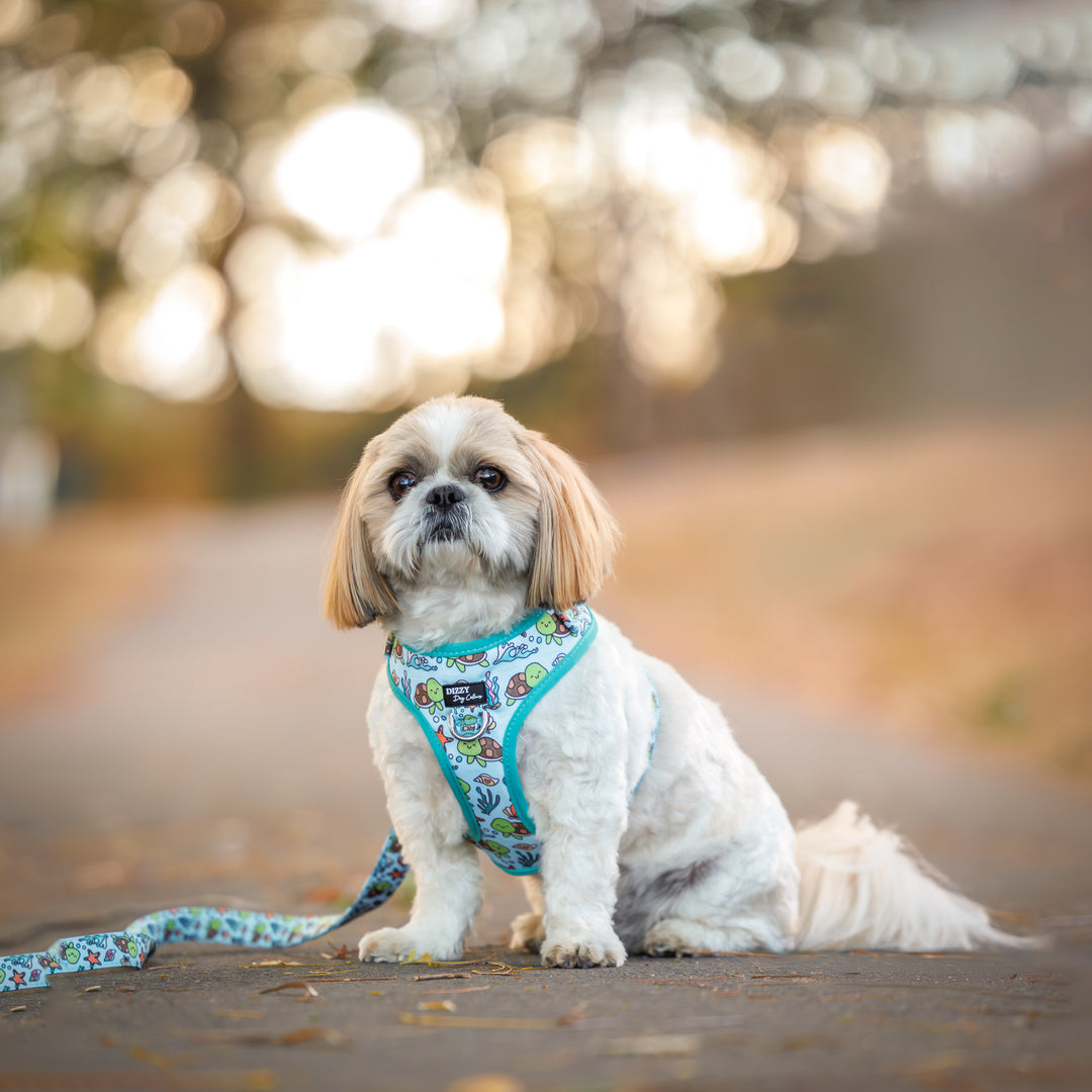 DOG HARNESS | Turtle Tots | Neck Adjustable Dog Harness