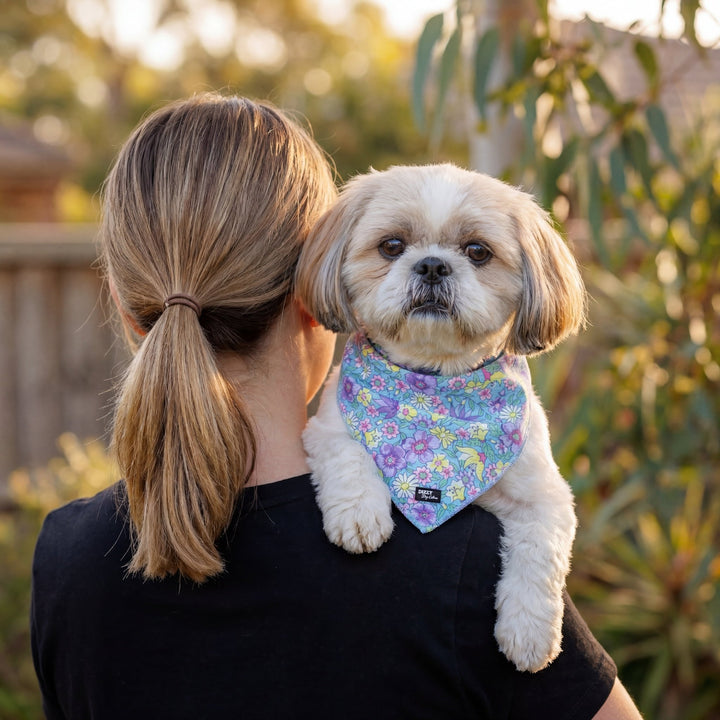 Person holding a small dog wearing a colorful bandana in an outdoor setting