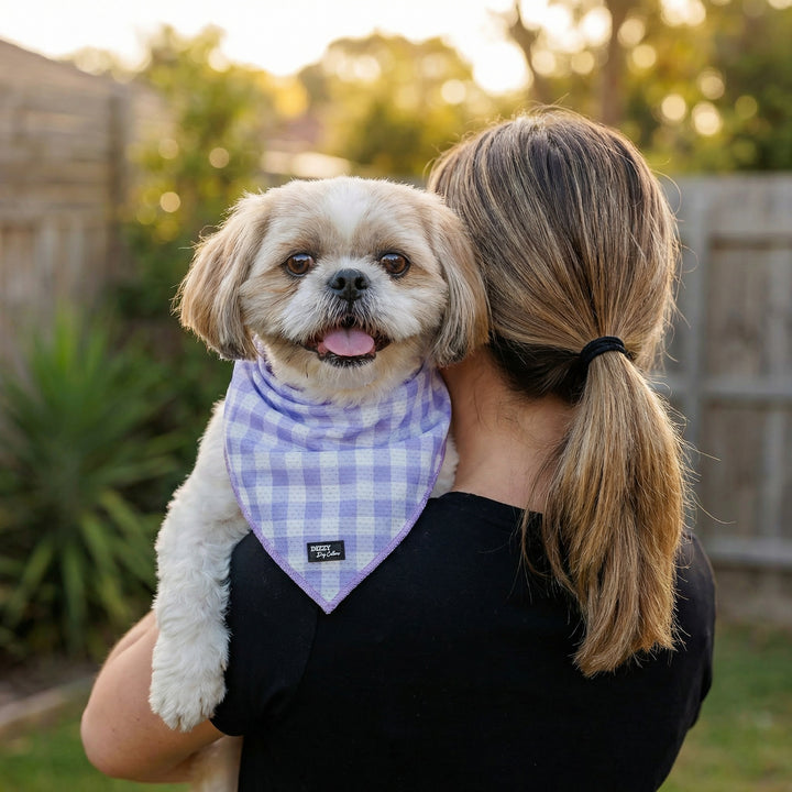 Person holding a small dog wearing a purple checkered bandana in a garden setting