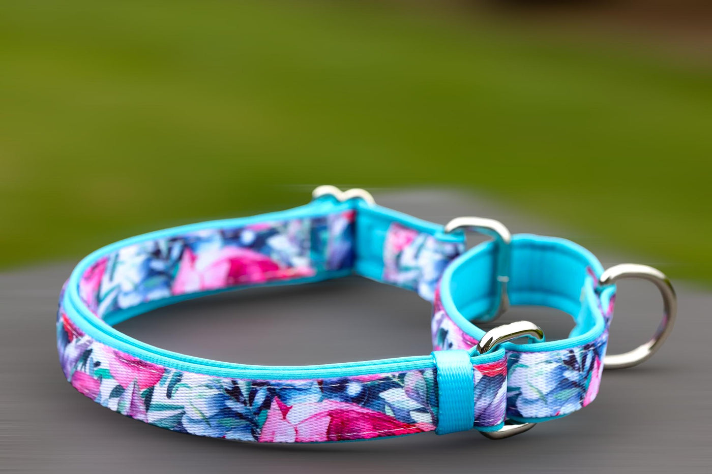 Martingale Dog Collar - Blossom Rose-Dog Collar-Dizzy Dog Collars