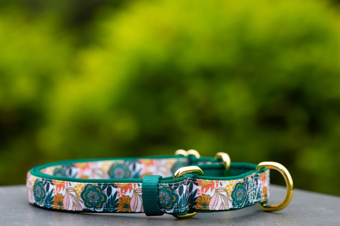 Martingale Dog Collar - Bohemian Garden-Dog Collar-Dizzy Dog Collars