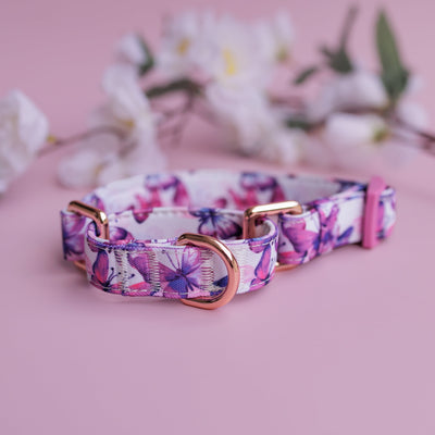 Martingale Dog Collar | Pink Butterflies-Dog Collar-Dizzy Dog Collars