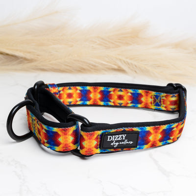 Martingale Dog Collar | Kaleidoscope-Dog Collar-Dizzy Dog Collars