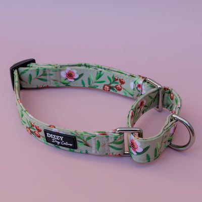 Martingale Dog Collar | Manuka-Dog Collar-Dizzy Dog Collars