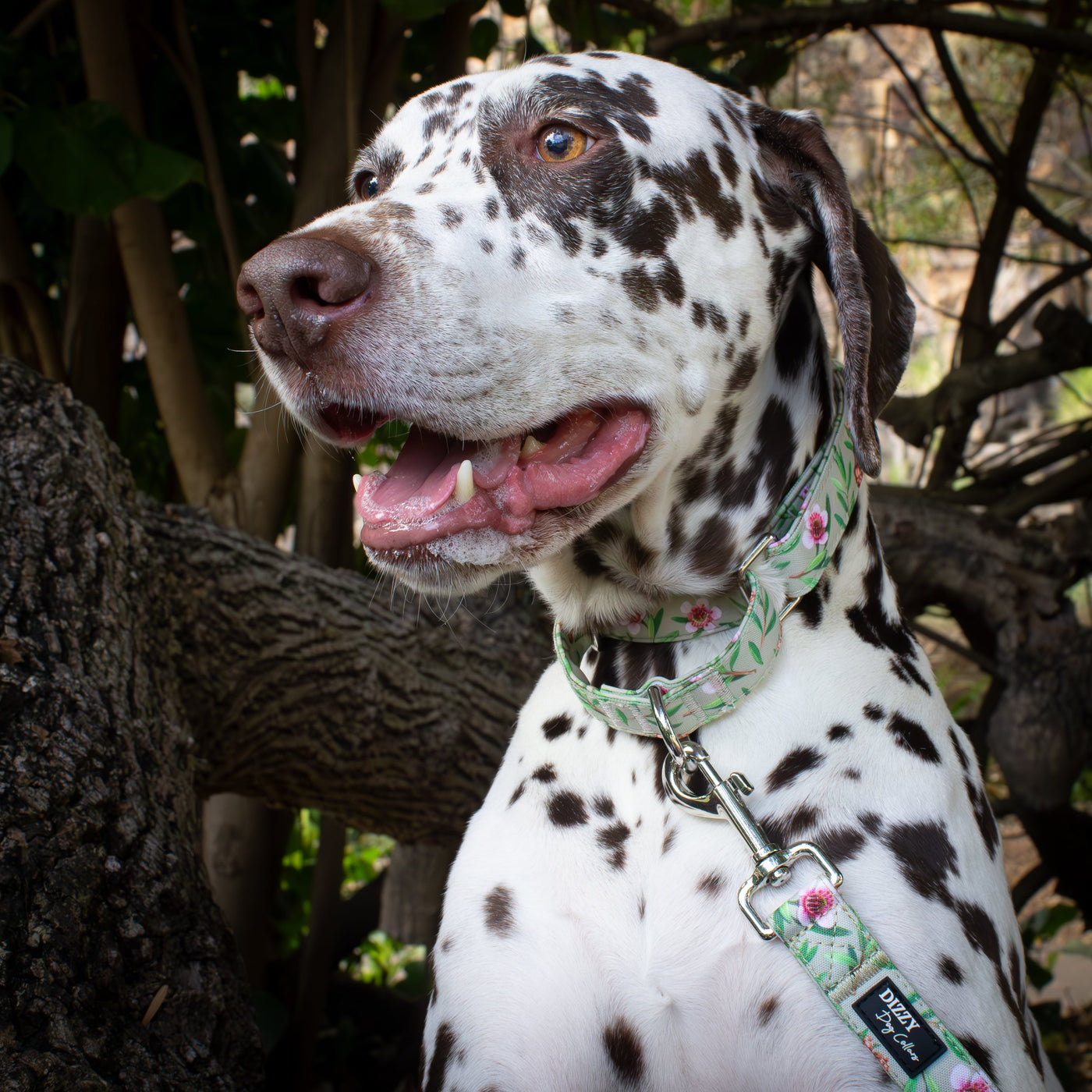 Martingale Dog Collar | Manuka-Dog Collar-Dizzy Dog Collars