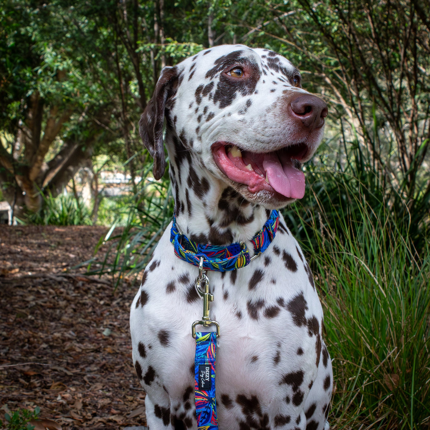 Martingale Dog Collar | Oasis-Dog Collar-Dizzy Dog Collars