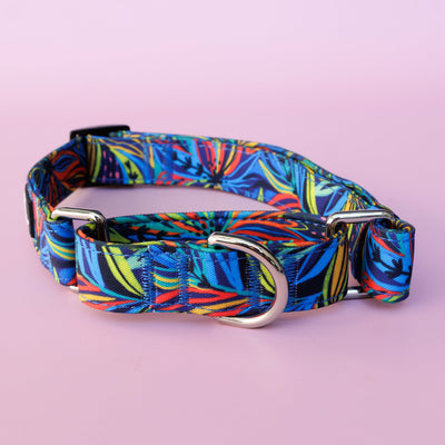 Martingale Dog Collar | Oasis-Dog Collar-Dizzy Dog Collars