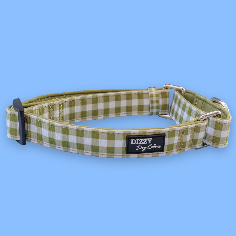 Martingale Dog Collar | Olive Gingham-Dog Collar-Dizzy Dog Collars