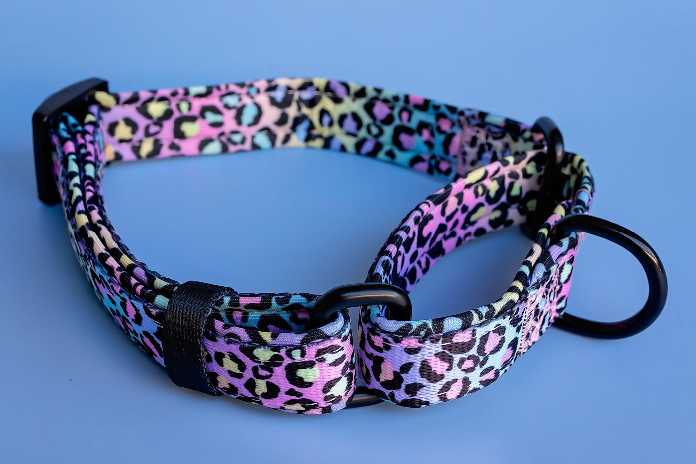 Martingale Dog Collar - Ombre Leopard Print-Dog Collar-Dizzy Dog Collars