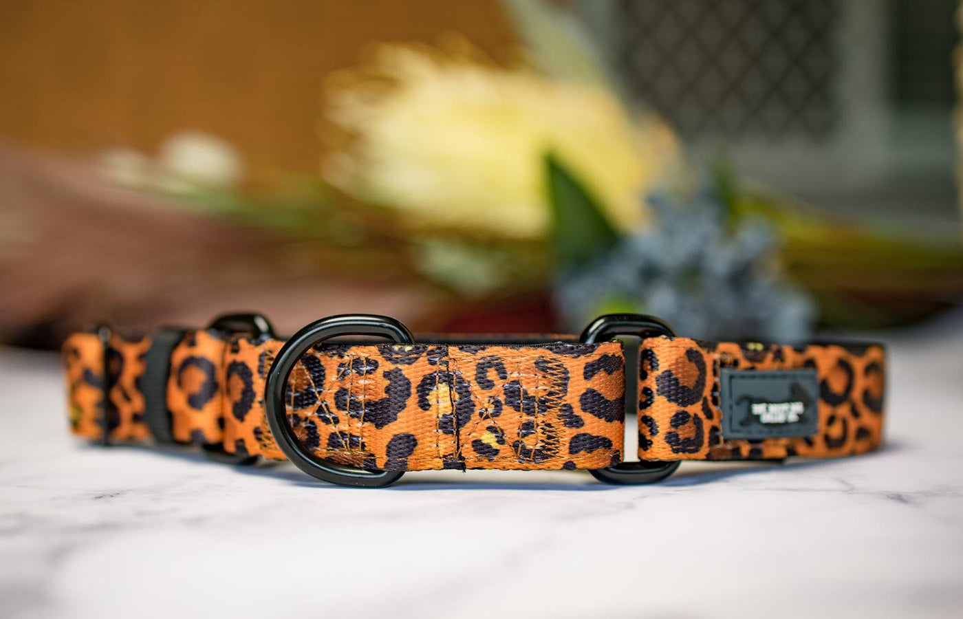 Martingale Dog Collar - Safari - Leopard Print-Dog Collar-Dizzy Dog Collars