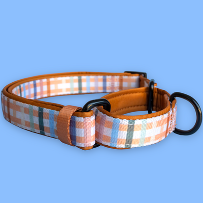 Martingale Dog Collar - Vintage Gingham-Dog Collar-Dizzy Dog Collars