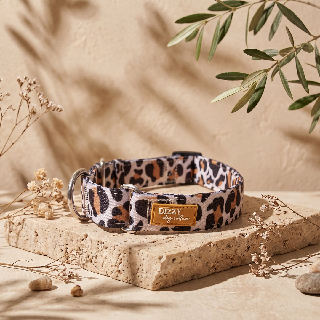 Martingale Dog Collar | Latte Leopard