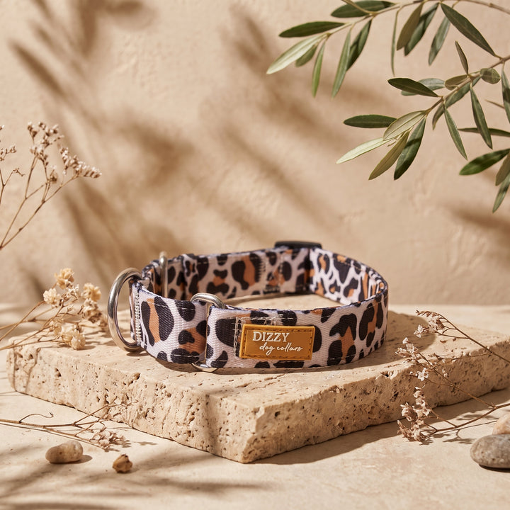 Martingale Dog Collar | Latte Leopard