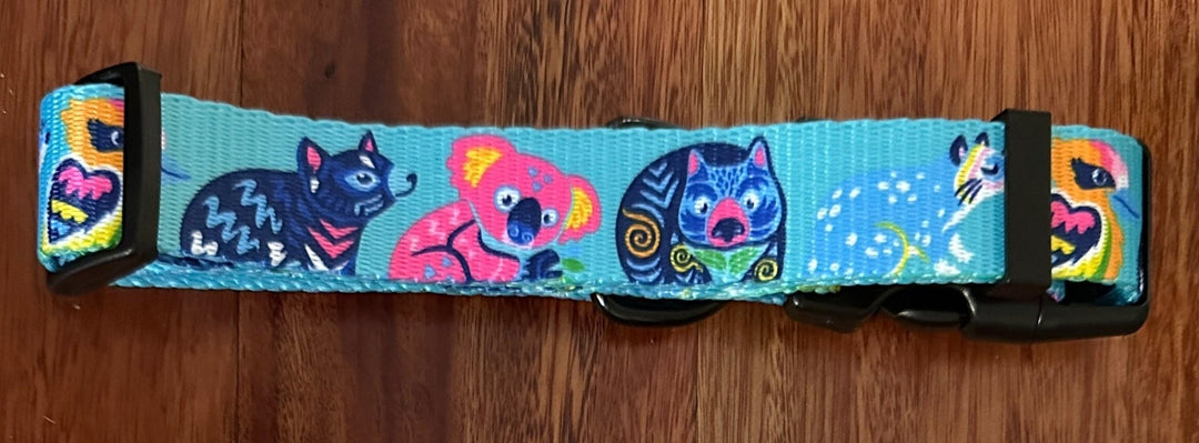 MEDIUM (2.5cm wide)|||| Clearance Pack - Pack C3 - Medium 2.5cm-Dizzy Dog Collars