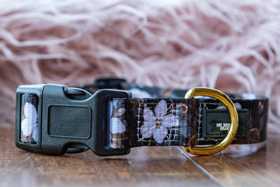 Midnight Cherry Blossoms Dog Collar (Made to order in 3 days) "Value Range"-Dog Collar-Dizzy Dog Collars