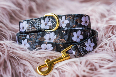 Midnight Cherry Blossoms Dog Leash (Pre-made)-Dizzy Dog Collars