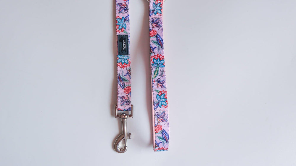 Molly & Polly Dog Leash-Dizzy Dog Collars