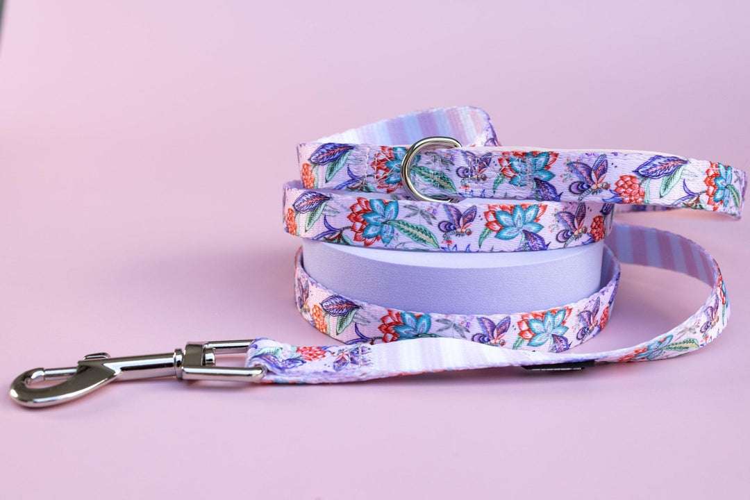 Molly & Polly Dog Leash-Dizzy Dog Collars