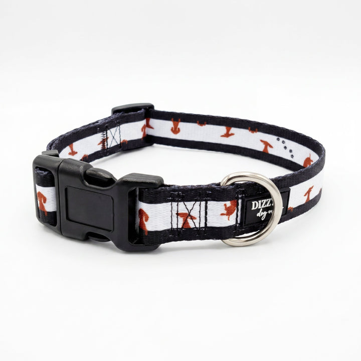 Peek-a-Moo  Dog Collar | Value Range Dog Collar | Stainless Steel
