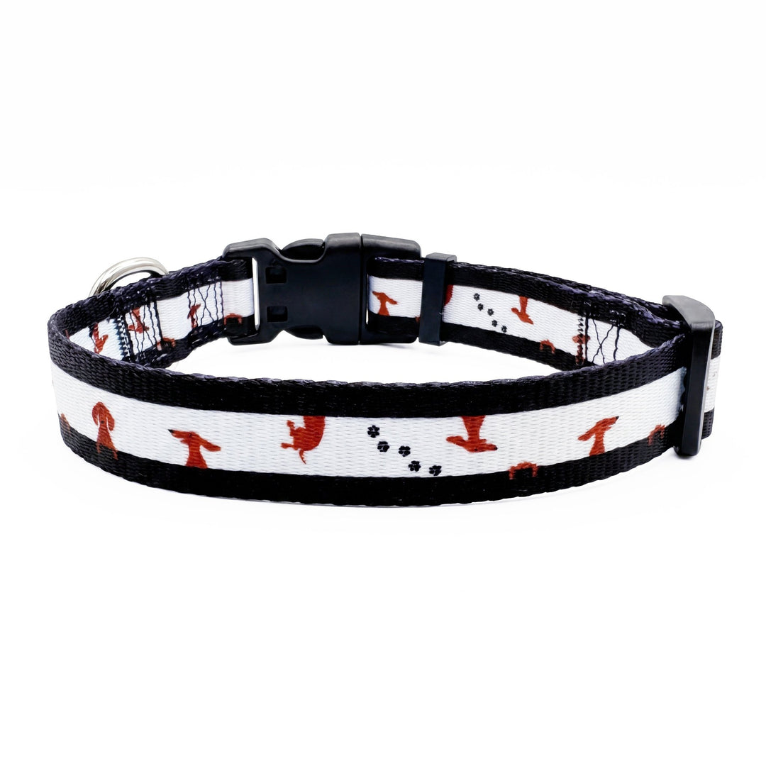 Peek-a-Moo  Dog Collar | Value Range Dog Collar | Stainless Steel