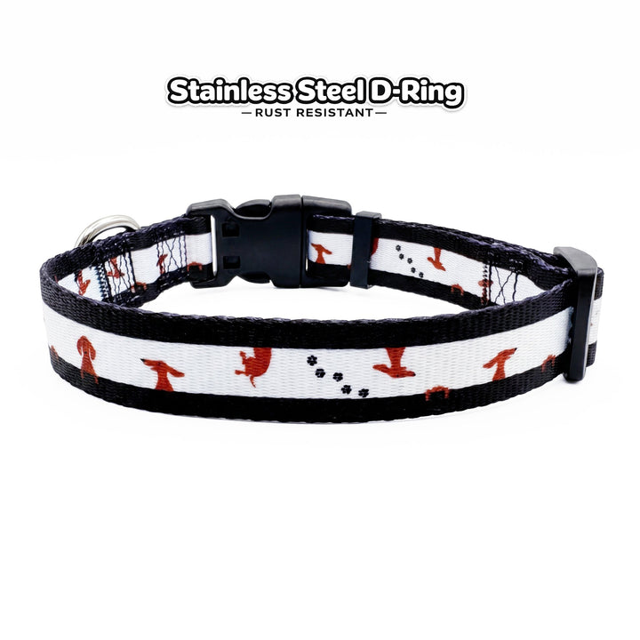 Peek-a-Moo  Dog Collar | Value Range Dog Collar | Stainless Steel