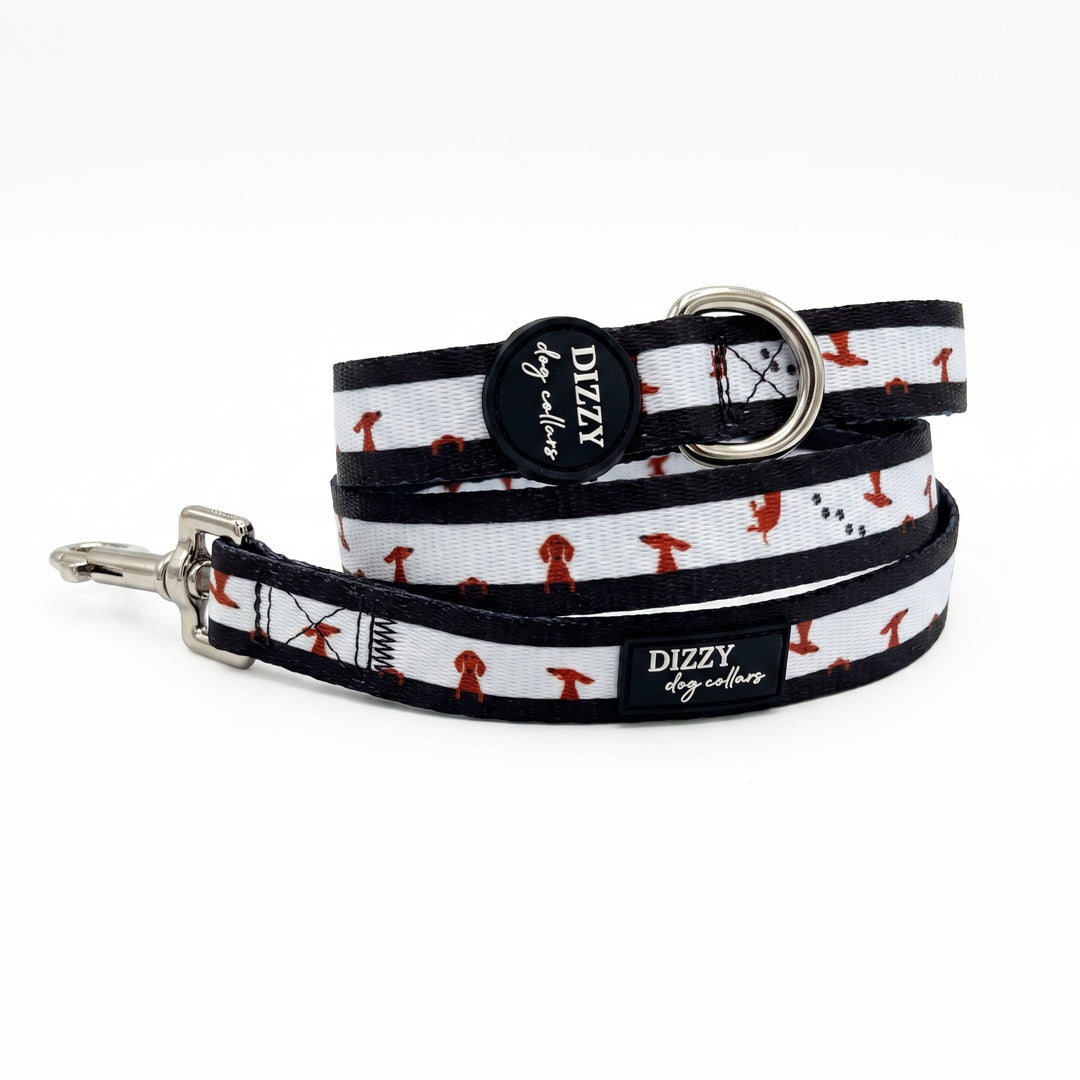 Peek-a-Moo  Dog Leash | Padded Handle