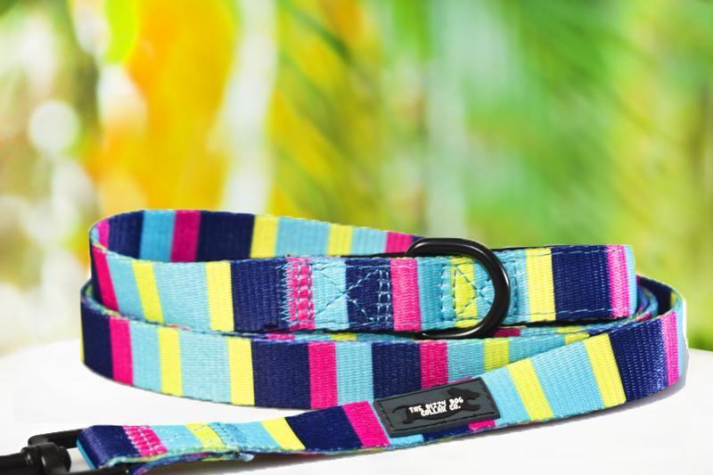 Multicolour Stripes Dog Leash (Premade) Dizzy Dog Collars