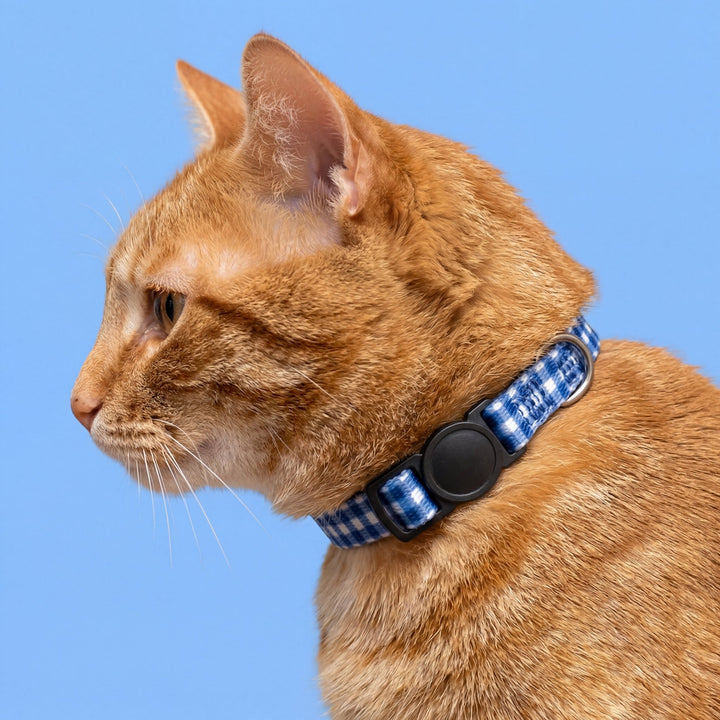 Navy Gingham Cat Collar | Toy Breed Dog Collar