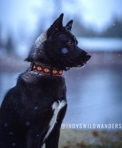 Navajo Dog Collar 1.5" (Extra Wide) (Handmade to order)-Dog Collar-Dizzy Dog Collars