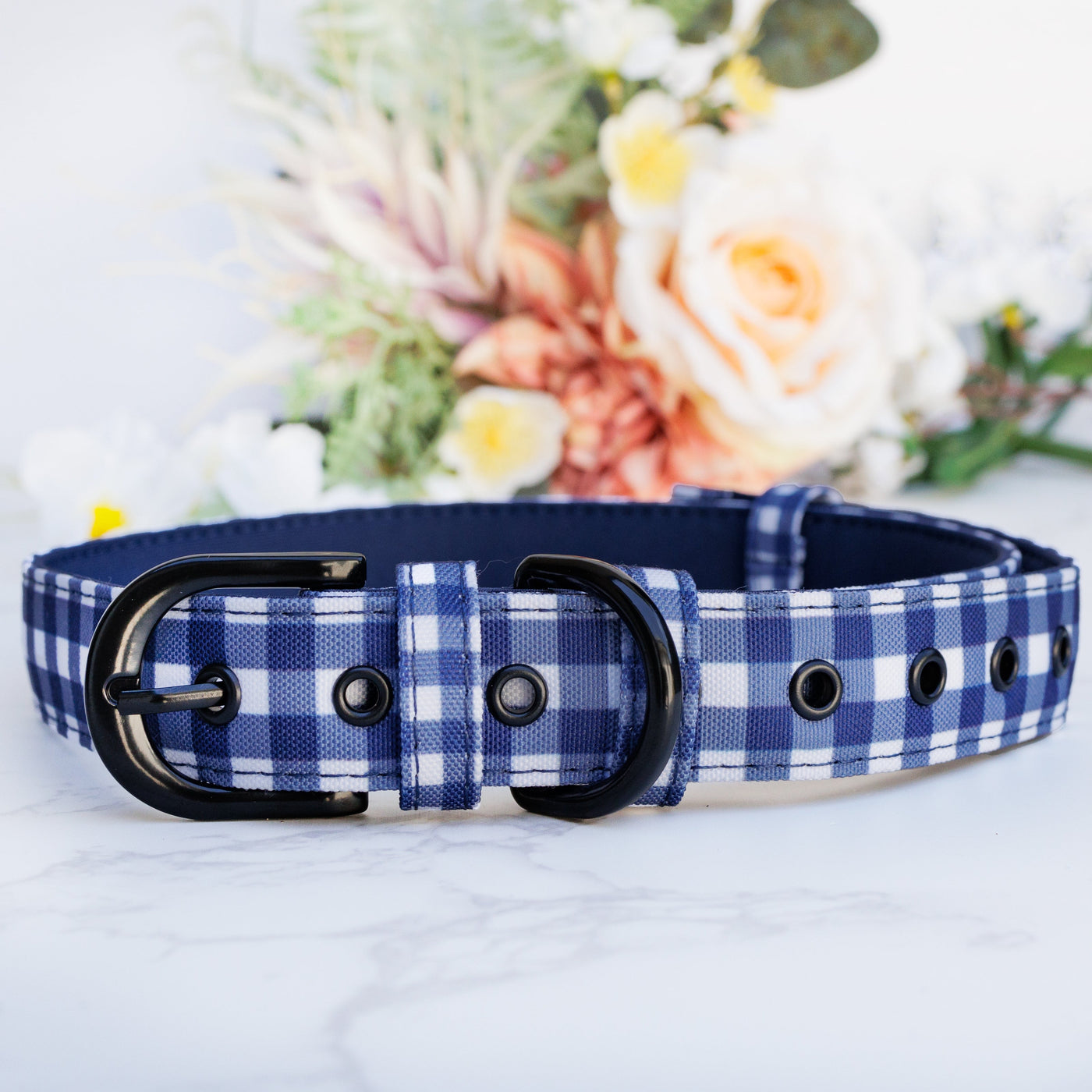 Navy Gingham Belt Buckle Dog Collar | Canvas & Neoprene-Dog Collar-Dizzy Dog Collars