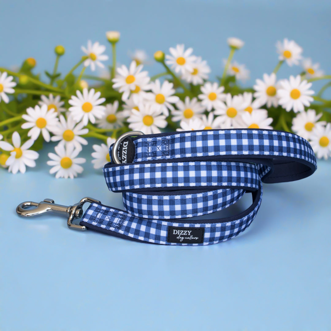 Blue and white checkered dog leash with a silver clip on a light blue background with white flowers.