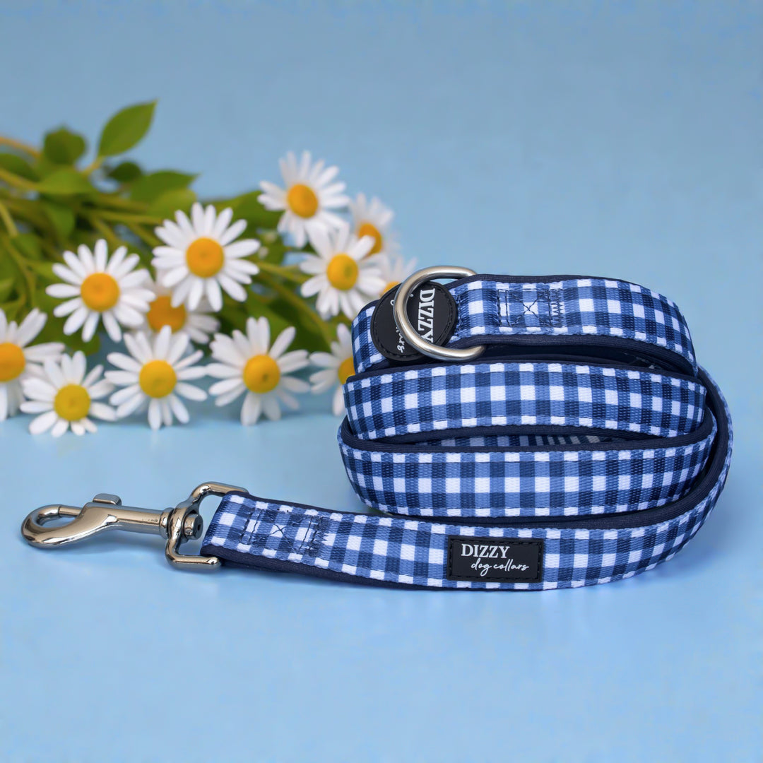 Navy Gingham Dog Leash | Fully Padded Leash