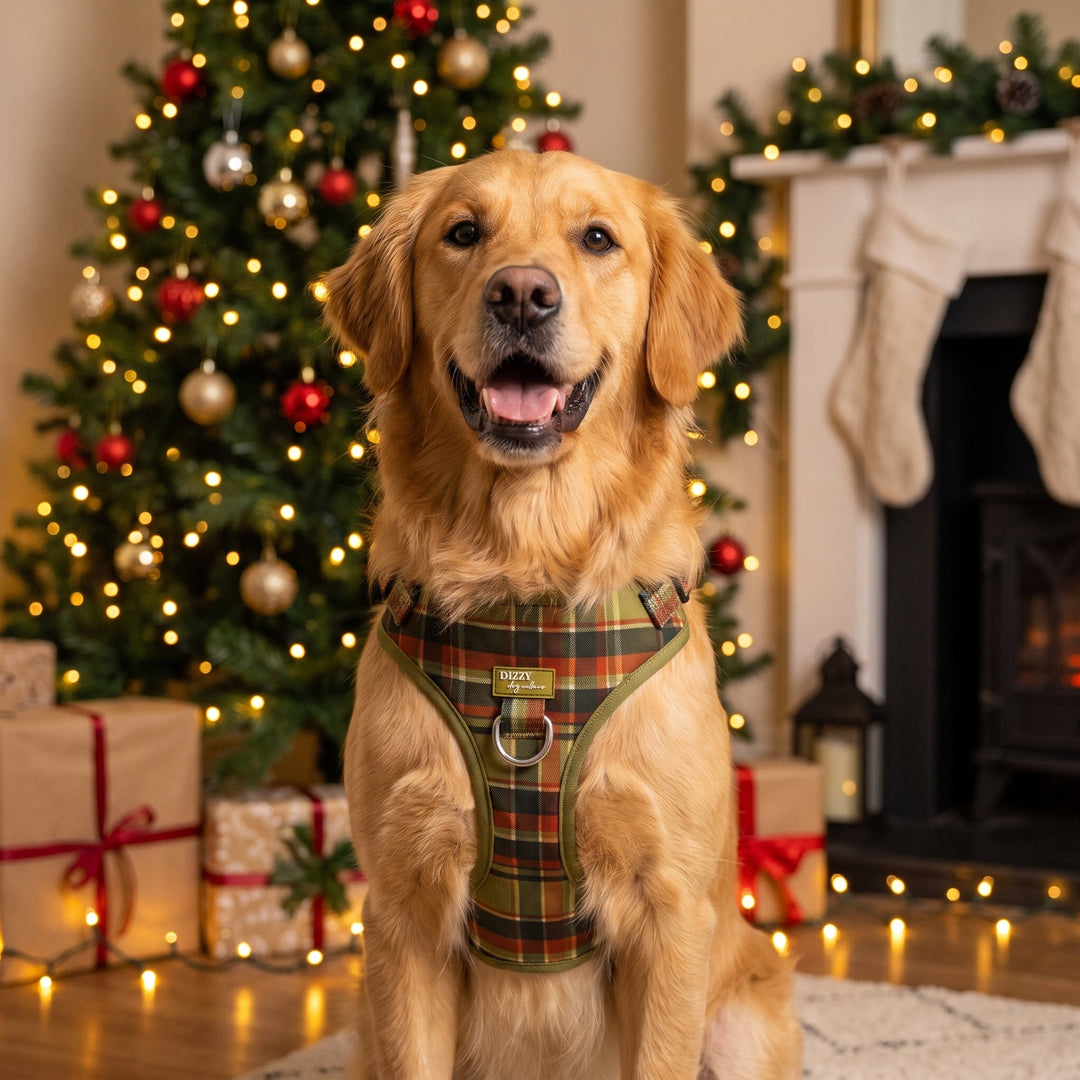 DOG HARNESS | An Olive Christmas  | Neck Adjustable Dog Harness