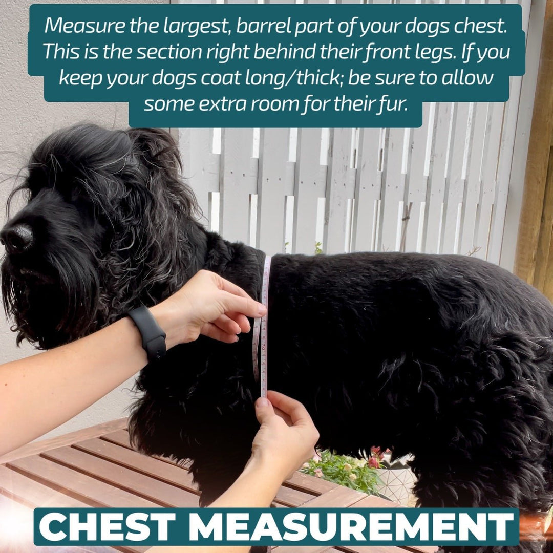 A closer look at Reaching Dizzying Surrender Healing Business Robber Disease