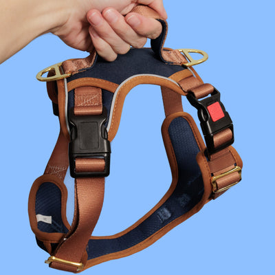 COMING SOON | No Pull Dog Harness | Step in | Reflective | Heavy Duty | Easy Reach Handle | The Coco-No Pull-Dizzy Dog Collars