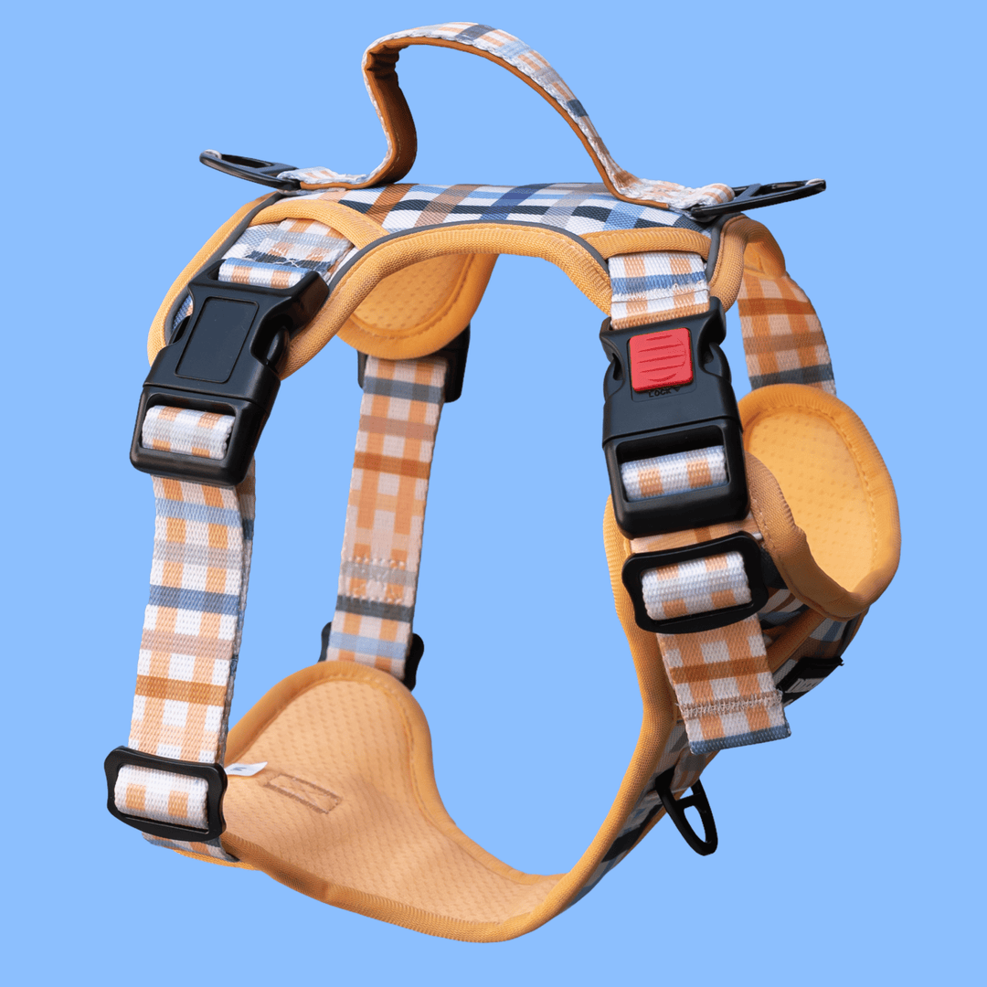 ****SECONDS*** No Pull Dog Harness with Handle | Vintage Gingham (Large)