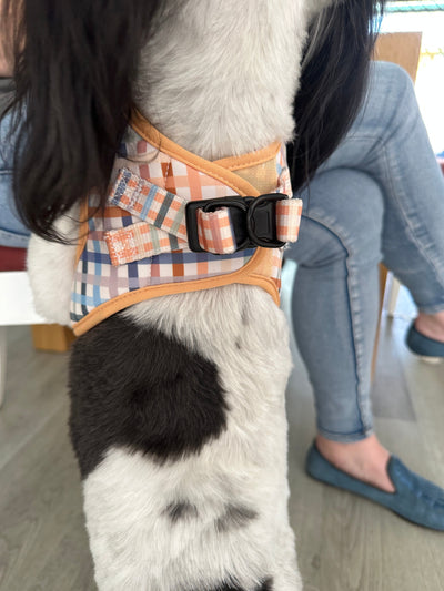 No Pull, Step In Harness | Suitable for XS to Medium Dogs and Cats | Vintage Gingham-Harness-Dizzy Dog Collars