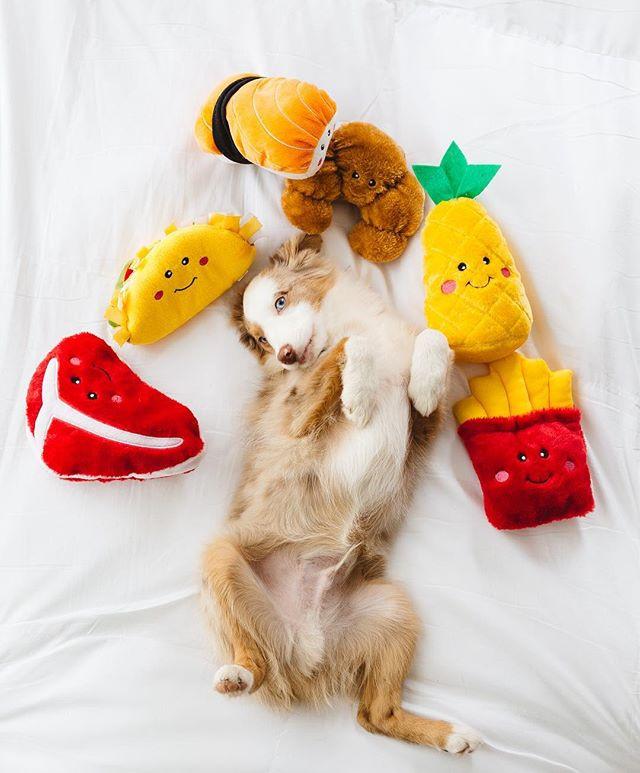 NomNomz - Pineapple-Dizzy Dog Collars-Dizzy Dog Collars