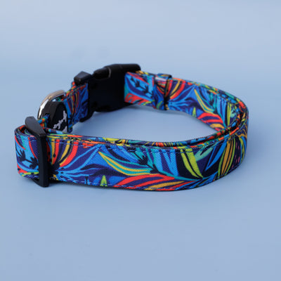 Oasis | Canvas & Neoprene Dog Collar-Dog Collar-Dizzy Dog Collars