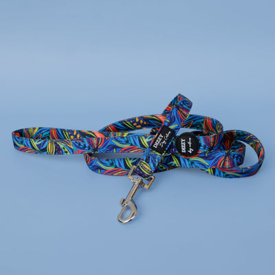 Oasis Dog Leash | Canvas & Neoprene | High Quality Fully Padded Leash-Leash-Dizzy Dog Collars