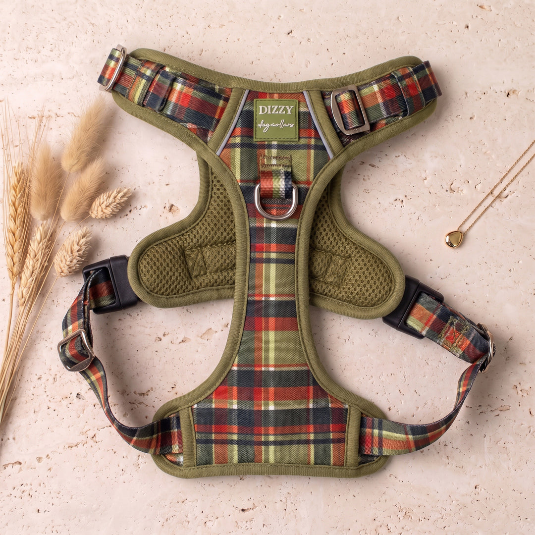 No Pull Dog Harness: An Olive Christmas