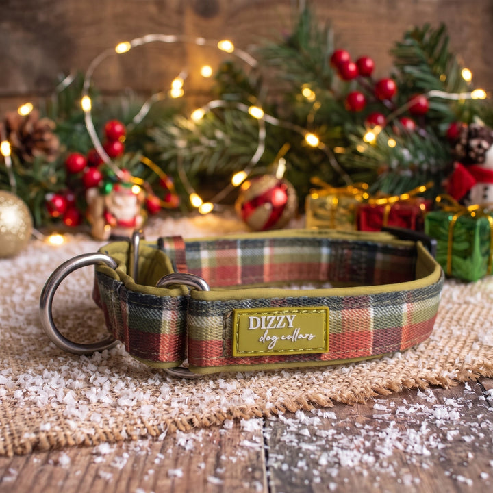 Martingale Dog Collar | An Olive Christmas